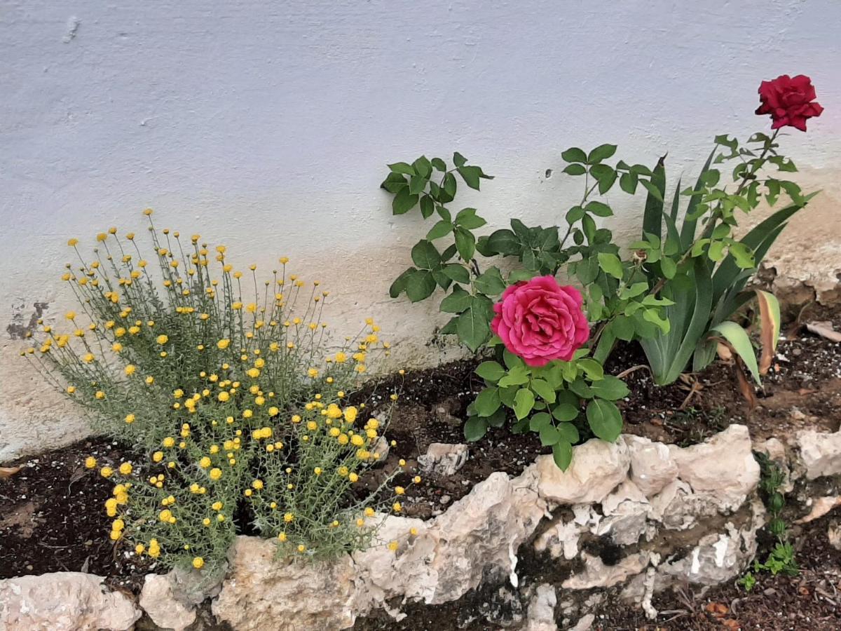 Casa Rural "Eccehomo De Borja" Guest House Exterior photo